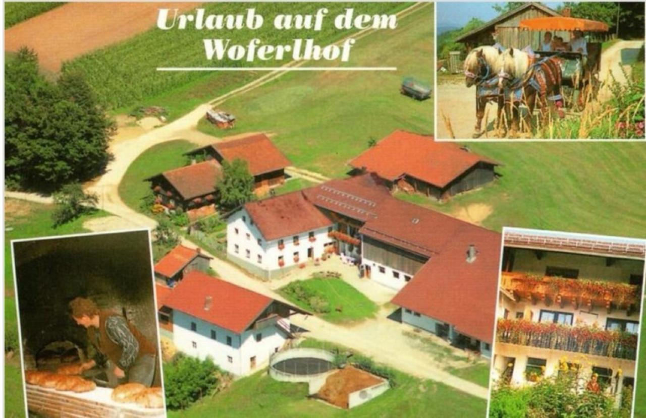 Woferlhof, Ferienhof Boxhorn Bobrach Exterior photo